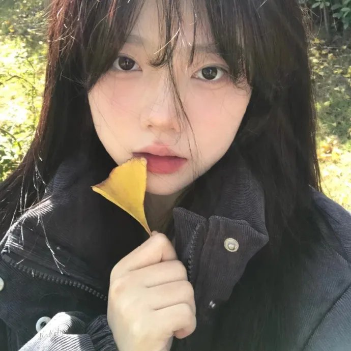 姜戈与姜戈